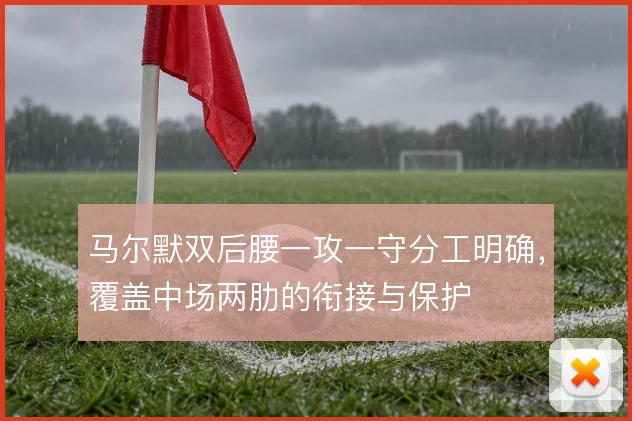 马尔默双后腰一攻一守分工明确，覆盖中场两肋的衔接与保护