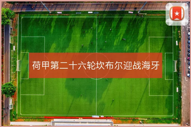 荷甲第二十六轮坎布尔迎战海牙