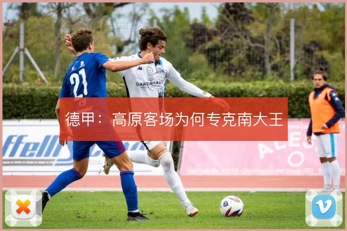 德甲:高原客场为何专克南大王